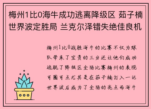 梅州1比0海牛成功逃离降级区 茹子楠世界波定胜局 兰克尔泽错失绝佳良机